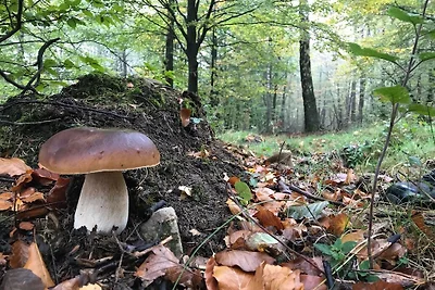 Accogliente casa a Oignies-en-Thiérache vicin...