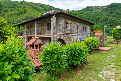 Knus appartement in Fosciandora met zwembad