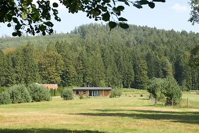 Gemütliche Wohnung mit Balkon