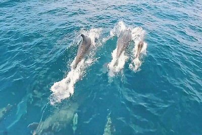 Appartamento a Quarteira vicino alla spiaggia...