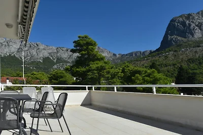Apartments Despot Zaostrog RR