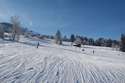 Wohnung direkt an der Skipiste mit Talblick