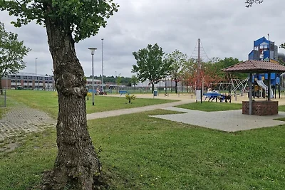 Wollige vooruitzichten