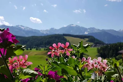 Edelweiss | Maneggio Alpine Appart