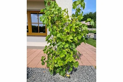 Ferienhaus Erholungsurlaub Bernkastel-Kues