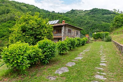 Nobles Bauernhaus in Fosciandora mit...