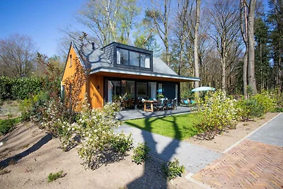 Villa moderna vicino a De Veluwe