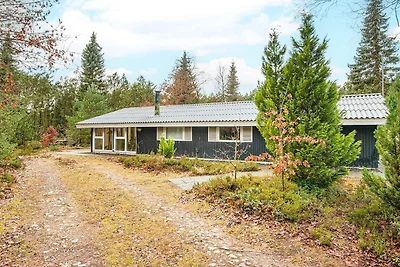 5 persone case ad Herning-By Traum