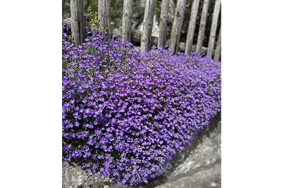 Hex`nhäusla in Aufseß