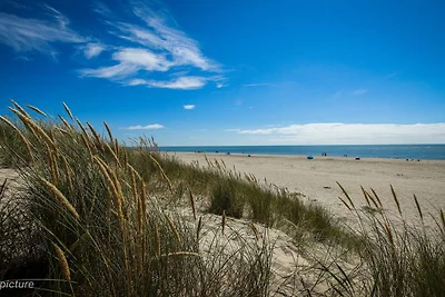8 Personen Ferienhaus in Blåvand-By Traum