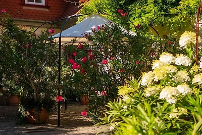 Holiday apartment with 1 bedroom