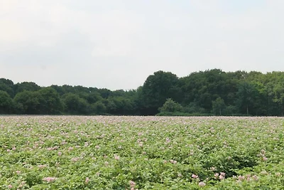 Omgeving (zomer) (1-5 km) Omgeving (zomer) (1-5 km)