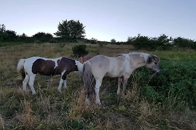 Meeresruhe am Fuglsovig-By Traum