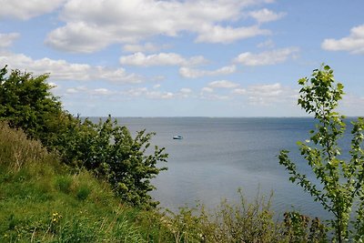 4 Personen Ferienhaus in Hejls-By Traum