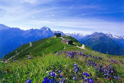 Wohnung in Fügen bei Skigebiet