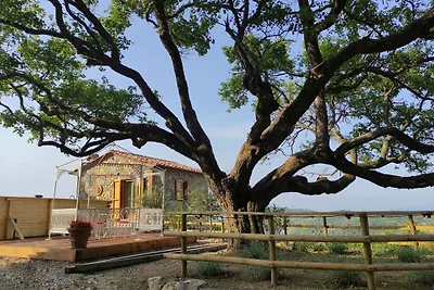 Villa di classe in Toscana con piscina...