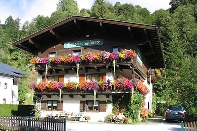 Appartement in Saalbach-Hinterglemm nahe...