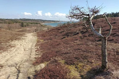 Schilderachtig toevluchtsoord in Boddum -- By...