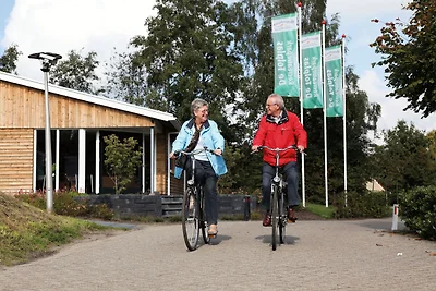Freistehendes Ferienhaus in Twente