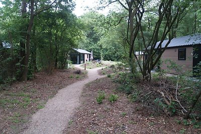 Modern chalet bij drie nationale parken