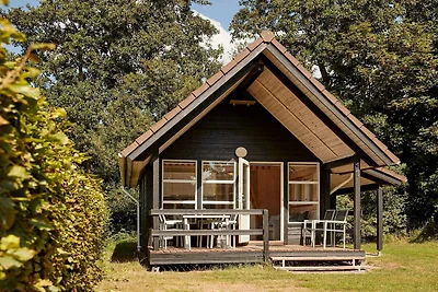6 persoons vakantieparkhuis in Bryrup