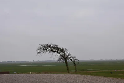 7 Personen Ferienhaus in Toftlund-By Traum