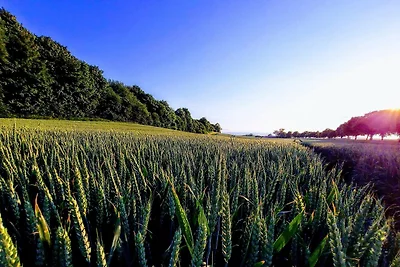 Charmantes Fischerhaus -- By Traum...