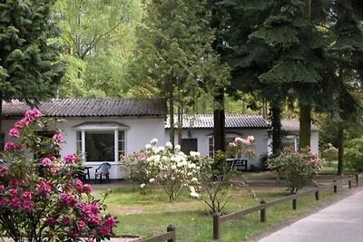 koliba Odmor za igrače golfa Koserow