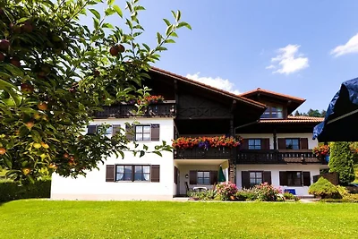 Keller - Seeblick
