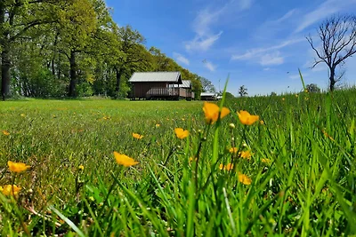 Schöne Lodge mit freiem Blick in Drenthe
