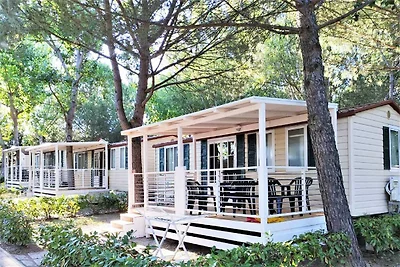 Piacevole casa mobile con piscina