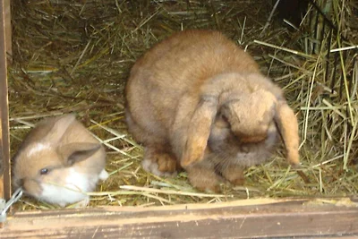 Winnewieser Hof