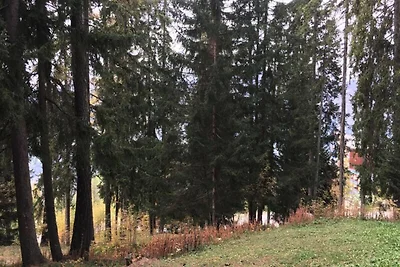 3-kamer mezzanine appartement voor 6/7...