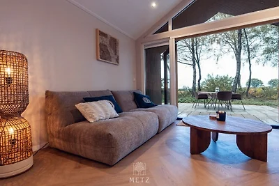 Wellness Lodge met Hottub Haarle