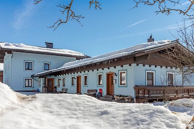 Skigebietsnahe Wohnung in Mittersill