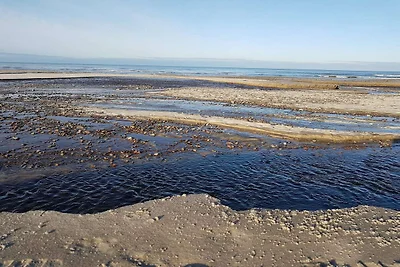 6 persone case ad Brovst