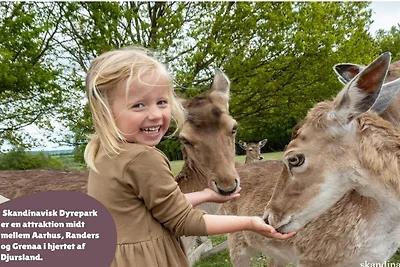 5 Personen Ferienhaus auf einem Ferienpark...