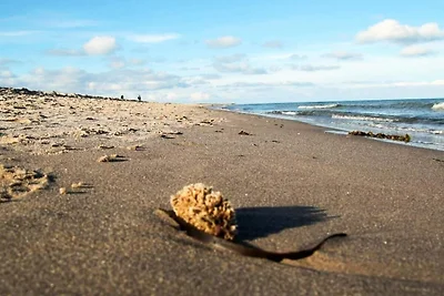 5 sterren vakantie huis in Skagen-By Traum