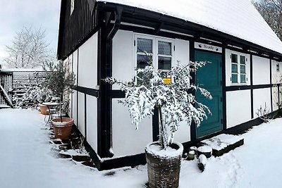 4 Personen Ferienhaus in Aakirkeby