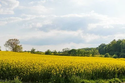 Steinbeck in der Gutsscheune Thorstorf