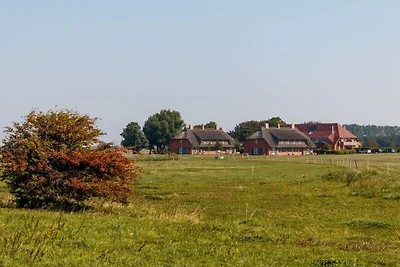 Rügen holiday farm