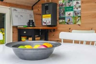 Afgelegen oase nabij zee -- By Traum...