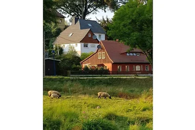 "Mandauhäusel" mit Sauna