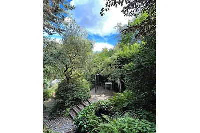 Noah -Seeleben auf Zeit