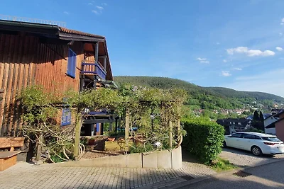 Apartament wakacyjny w Bad Wildbad z Wi-Fi