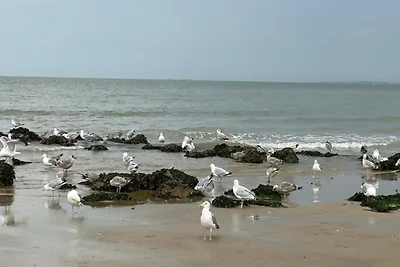 Meerblick im Herzen von Zoute