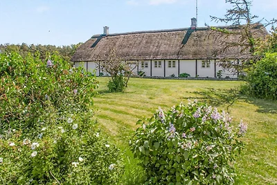 4 Personen Ferienhaus in Læsø-By Traum