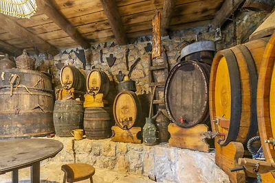 Rustical Resort Kokorići with Shared Outdoor ...