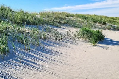 6 Personen Ferienhaus in Ålbæk-By Traum