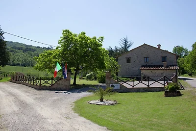 Modernes Ferienhaus mit Garten